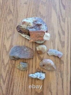 Petrified Wood Fish Native American Indian Stone Effigy Art, Artifacts, Tools