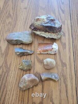 Petrified Wood Fish Native American Indian Stone Effigy Art, Artifacts, Tools