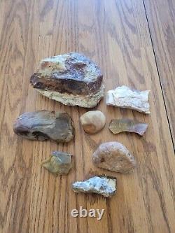 Petrified Wood Fish Native American Indian Stone Effigy Art, Artifacts, Tools