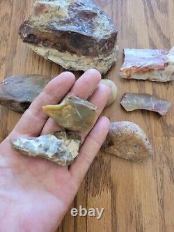 Petrified Wood Fish Native American Indian Stone Effigy Art, Artifacts, Tools