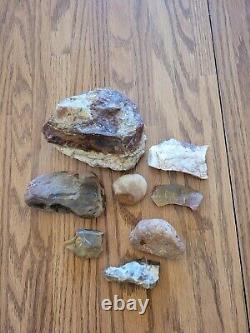 Petrified Wood Fish Native American Indian Stone Effigy Art, Artifacts, Tools