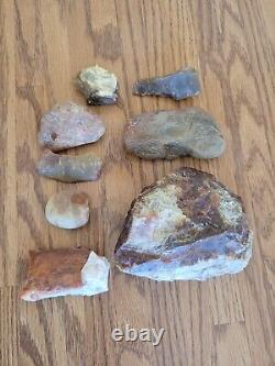 Petrified Wood Fish Native American Indian Stone Effigy Art, Artifacts, Tools