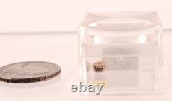 Pomo Super Miniature Basket Early/Mid 20th Century + Size 1 Magnifier Box