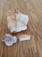 Quartz Crystal Dog Effigy Native American Stone Rock Art, Artifacts, Tools