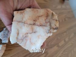 Quartz Crystal Dog Effigy Native American Stone Rock Art, Artifacts, Tools