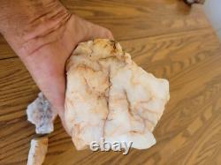 Quartz Crystal Dog Effigy Native American Stone Rock Art, Artifacts, Tools Quartz Crystal Dog Effigy Native American Stone Rock Art, Artifacts, Tools