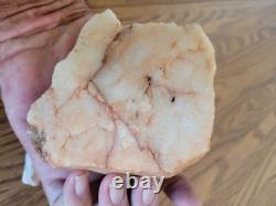 Quartz Crystal Dog Effigy Native American Stone Rock Art, Artifacts, Tools