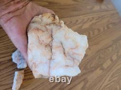 Quartz Crystal Dog Effigy Native American Stone Rock Art, Artifacts, Tools