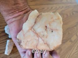 Quartz Crystal Dog Effigy Native American Stone Rock Art, Artifacts, Tools