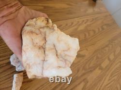Quartz Crystal Dog Effigy Native American Stone Rock Art, Artifacts, Tools