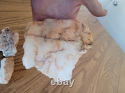 Quartz Crystal Dog Effigy Native American Stone Rock Art, Artifacts, Tools