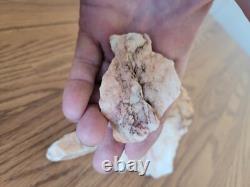 Quartz Crystal Dog Effigy Native American Stone Rock Art, Artifacts, Tools