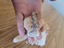 Quartz Crystal Dog Effigy Native American Stone Rock Art, Artifacts, Tools