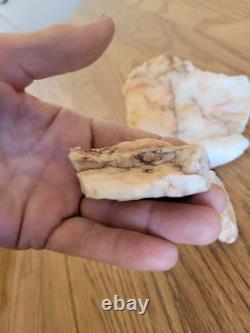 Quartz Crystal Dog Effigy Native American Stone Rock Art, Artifacts, Tools