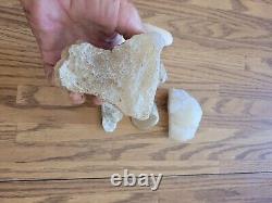 Quartz Crystal Fox Native American Indian Stone Effigy Art, Artifacts, Tools