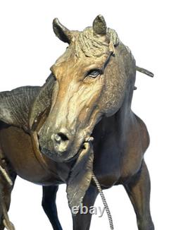 Rare Early Bob Parks Bronze Sculpture 2/35 Native American War Horse Signed 1974