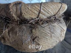 Rare Native American Basket Early 20th C, with Rabbit Fur-Handwoven 1920's, 16W