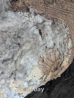 Rare Native American Basket Early 20th C, with Rabbit Fur-Handwoven 1920's, 16W