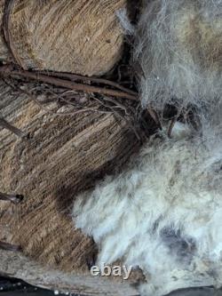 Rare Native American Basket Early 20th C, with Rabbit Fur-Handwoven 1920's, 16W