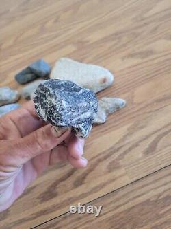 Rattle Snake Head Native American Indian Stone Effigy Art, Artifacts, Tools