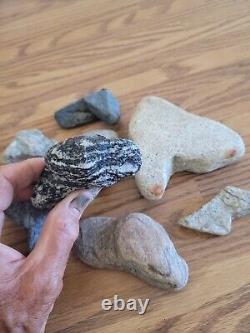 Rattle Snake Head Native American Indian Stone Effigy Art, Artifacts, Tools