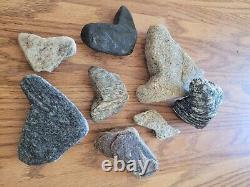 Rattle Snake Head Native American Indian Stone Effigy Art, Artifacts, Tools