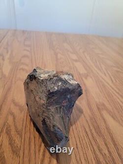 Red Eyed Coyote Native American Stone Effigy Rock Art, Artifacts, Tools