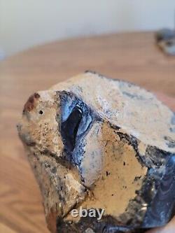 Red Eyed Coyote Native American Stone Effigy Rock Art, Artifacts, Tools