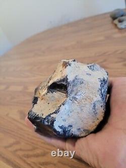 Red Eyed Coyote Native American Stone Effigy Rock Art, Artifacts, Tools