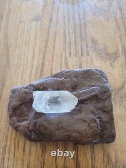 Red Jasper Coyote Native American Indian Stone Effigy RockArt Artifacts, Tools