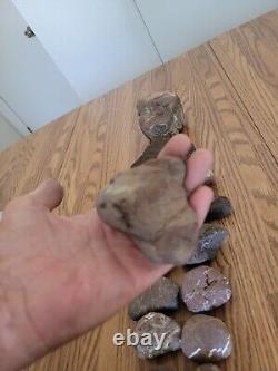 Red Jasper + Native American Indian Stone Effigy Art, Artifacts, Tools