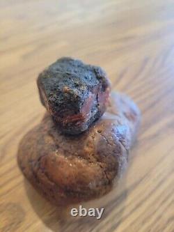 Red Mouth Snake Head Native American Stone Effigy Rock Art, Artifacts, Tools