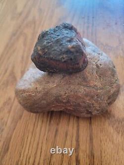 Red Mouth Snake Head Native American Stone Effigy Rock Art, Artifacts, Tools