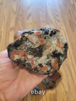 Red Petroglyph Dino Dung Native American Stone Effigy RockArt, Artifacts, Tools