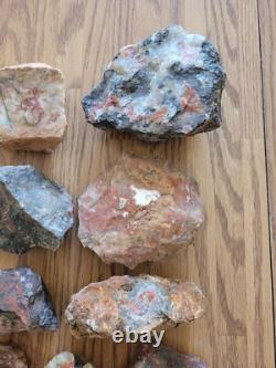 Red Petroglyph Dino Dung Native American Stone Effigy RockArt, Artifacts, Tools