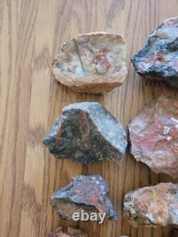 Red Petroglyph Dino Dung Native American Stone Effigy RockArt, Artifacts, Tools