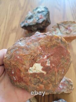 Red Petroglyph Dino Dung Native American Stone Effigy RockArt, Artifacts, Tools
