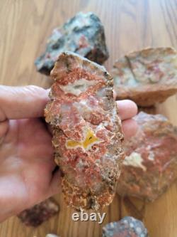 Red Petroglyph Dino Dung Native American Stone Effigy RockArt, Artifacts, Tools