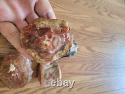 Red Petroglyph Dino Dung Native American Stone Effigy RockArt, Artifacts, Tools