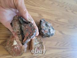 Red Petroglyph Dino Dung Native American Stone Effigy RockArt, Artifacts, Tools