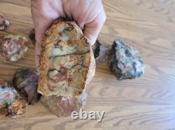 Red Petroglyph Dino Dung Native American Stone Effigy RockArt, Artifacts, Tools
