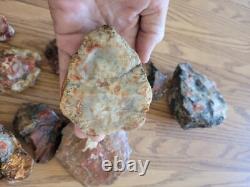 Red Petroglyph Dino Dung Native American Stone Effigy RockArt, Artifacts, Tools
