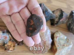 Red Petroglyph Dino Dung Native American Stone Effigy RockArt, Artifacts, Tools