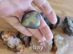 Red Petroglyph Dino Dung Native American Stone Effigy RockArt, Artifacts, Tools