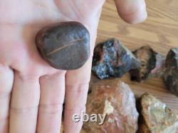 Red Petroglyph Dino Dung Native American Stone Effigy RockArt, Artifacts, Tools