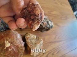 Red Petroglyph Dino Dung Native American Stone Effigy RockArt, Artifacts, Tools