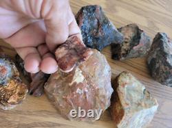 Red Petroglyph Dino Dung Native American Stone Effigy RockArt, Artifacts, Tools