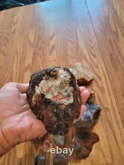 Red Petroglyph Dino Dung Native American Stone Effigy RockArt, Artifacts, Tools