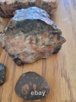 Red Petroglyph Dino Dung Native American Stone Effigy RockArt, Artifacts, Tools