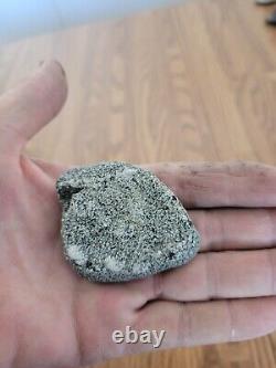 Reversible Dog Petroglyph Native American Stone Rock Art, Artifacts, Tools